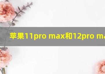 苹果11pro max和12pro max电池