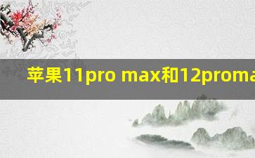 苹果11pro max和12promax电池