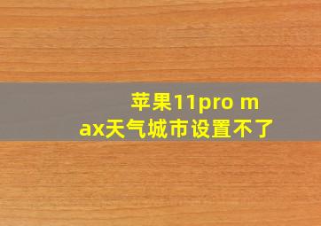 苹果11pro max天气城市设置不了