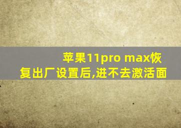 苹果11pro max恢复出厂设置后,进不去激活面