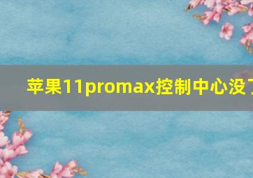 苹果11promax控制中心没了