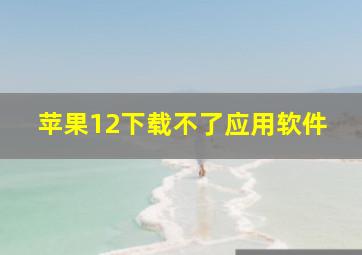 苹果12下载不了应用软件