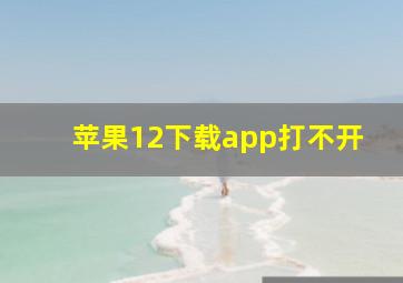 苹果12下载app打不开