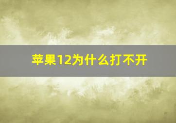 苹果12为什么打不开