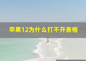 苹果12为什么打不开表格