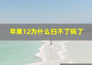 苹果12为什么扫不了码了