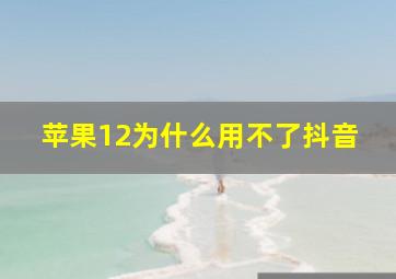 苹果12为什么用不了抖音