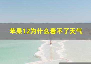 苹果12为什么看不了天气