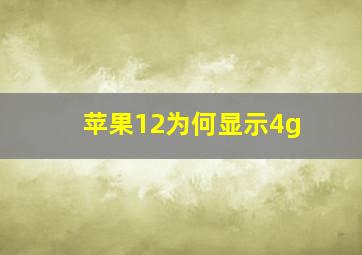 苹果12为何显示4g