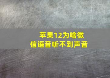 苹果12为啥微信语音听不到声音