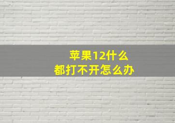 苹果12什么都打不开怎么办