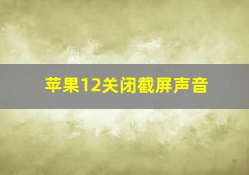 苹果12关闭截屏声音