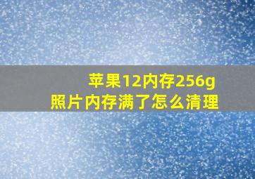 苹果12内存256g照片内存满了怎么清理