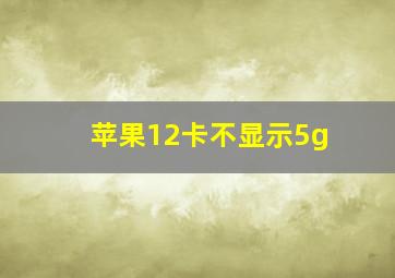 苹果12卡不显示5g