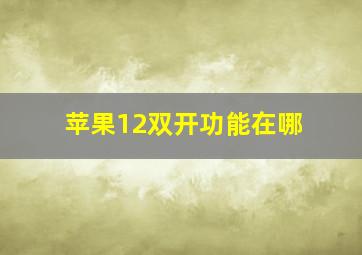 苹果12双开功能在哪