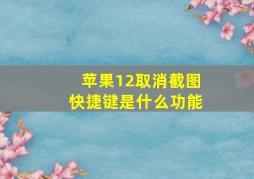 苹果12取消截图快捷键是什么功能