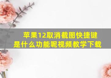 苹果12取消截图快捷键是什么功能呢视频教学下载