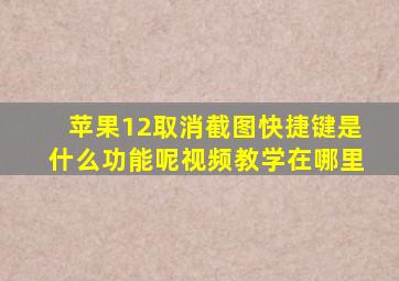 苹果12取消截图快捷键是什么功能呢视频教学在哪里