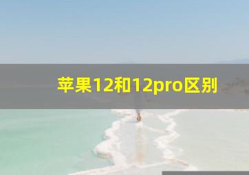 苹果12和12pro区别