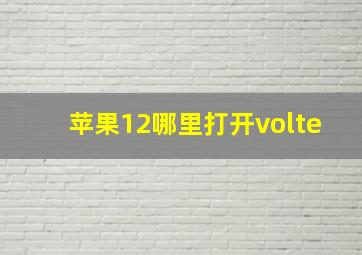 苹果12哪里打开volte