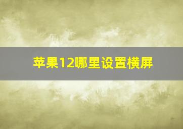 苹果12哪里设置横屏