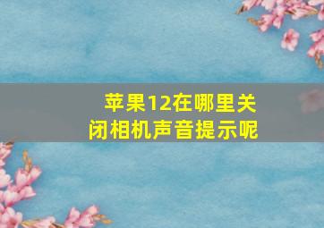 苹果12在哪里关闭相机声音提示呢