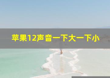 苹果12声音一下大一下小