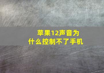 苹果12声音为什么控制不了手机