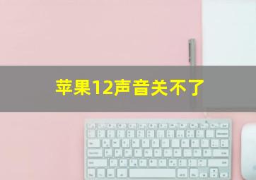 苹果12声音关不了