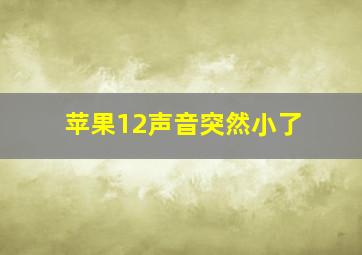 苹果12声音突然小了