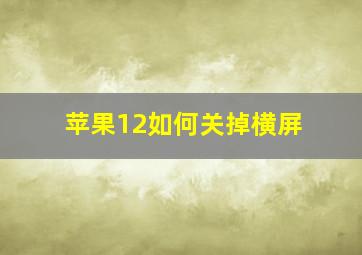 苹果12如何关掉横屏