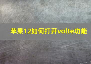 苹果12如何打开volte功能