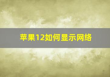 苹果12如何显示网络