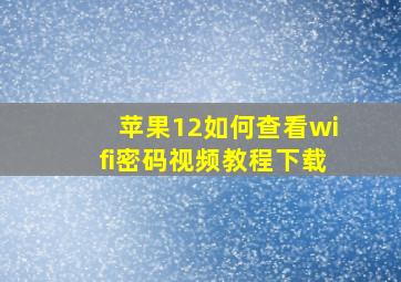 苹果12如何查看wifi密码视频教程下载