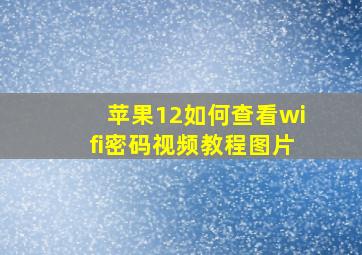 苹果12如何查看wifi密码视频教程图片