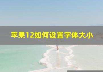 苹果12如何设置字体大小