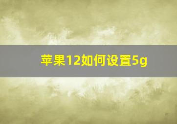 苹果12如何设置5g