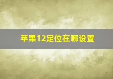 苹果12定位在哪设置