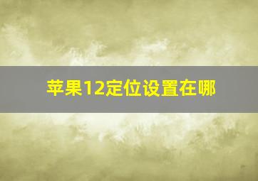 苹果12定位设置在哪