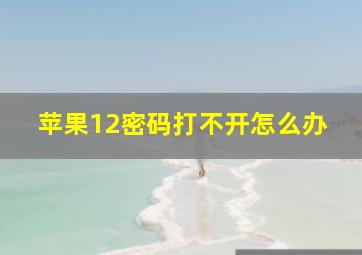 苹果12密码打不开怎么办