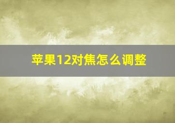 苹果12对焦怎么调整