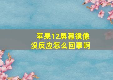 苹果12屏幕镜像没反应怎么回事啊