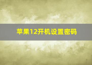 苹果12开机设置密码