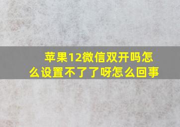 苹果12微信双开吗怎么设置不了了呀怎么回事