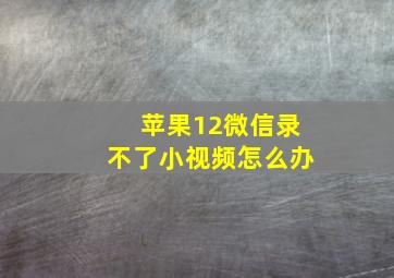 苹果12微信录不了小视频怎么办