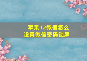 苹果12微信怎么设置微信密码锁屏