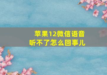 苹果12微信语音听不了怎么回事儿