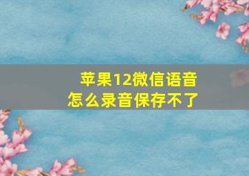 苹果12微信语音怎么录音保存不了