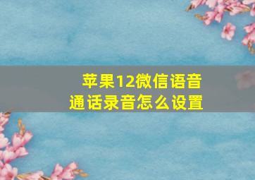 苹果12微信语音通话录音怎么设置