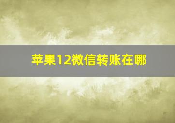 苹果12微信转账在哪